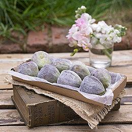 《怪物猎人：荒野》武器设计大赛开启 大奖作品游戏实装